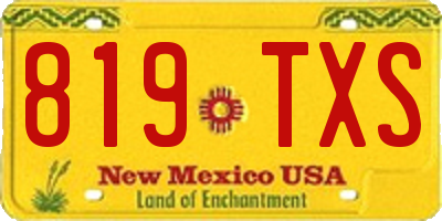 NM license plate 819TXS