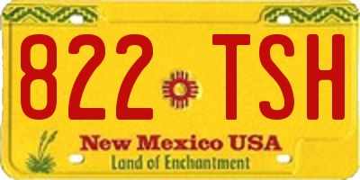 NM license plate 822TSH