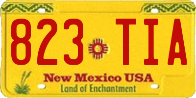 NM license plate 823TIA