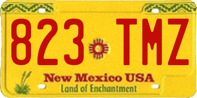 NM license plate 823TMZ