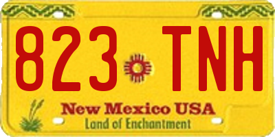 NM license plate 823TNH