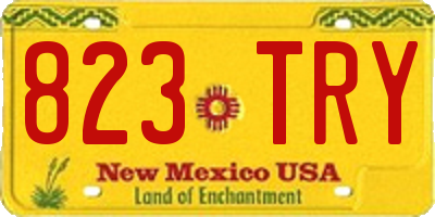 NM license plate 823TRY