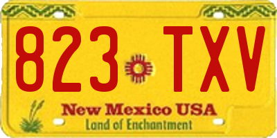 NM license plate 823TXV