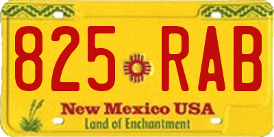NM license plate 825RAB