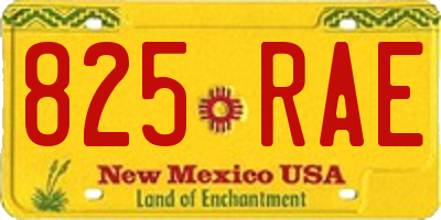 NM license plate 825RAE