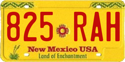 NM license plate 825RAH