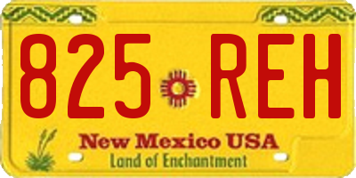 NM license plate 825REH