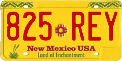 NM license plate 825REY