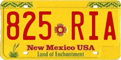 NM license plate 825RIA