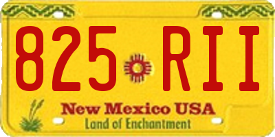 NM license plate 825RII
