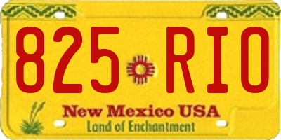 NM license plate 825RIO