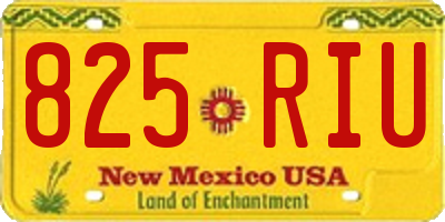 NM license plate 825RIU