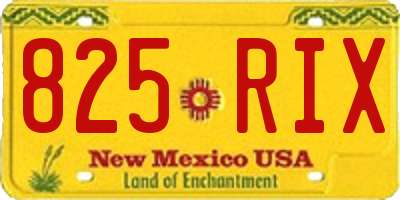 NM license plate 825RIX