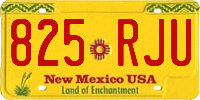 NM license plate 825RJU