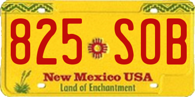 NM license plate 825SOB