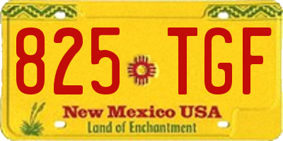 NM license plate 825TGF