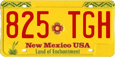 NM license plate 825TGH
