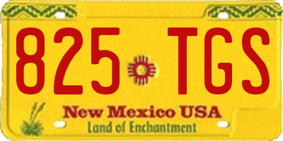 NM license plate 825TGS