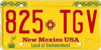 NM license plate 825TGV