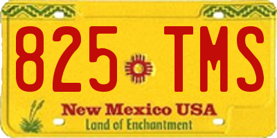 NM license plate 825TMS