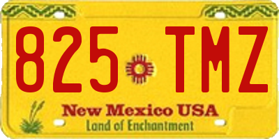 NM license plate 825TMZ