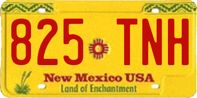 NM license plate 825TNH