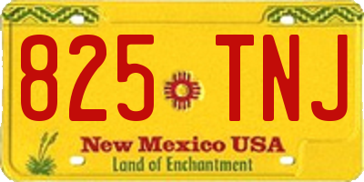NM license plate 825TNJ