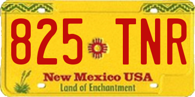 NM license plate 825TNR
