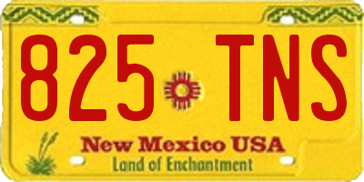 NM license plate 825TNS