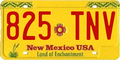 NM license plate 825TNV