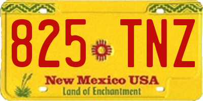 NM license plate 825TNZ