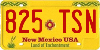 NM license plate 825TSN