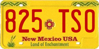 NM license plate 825TSO