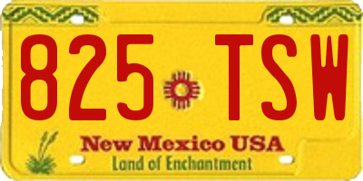 NM license plate 825TSW