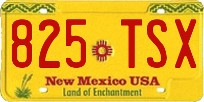 NM license plate 825TSX