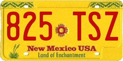 NM license plate 825TSZ