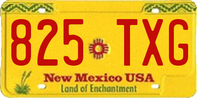 NM license plate 825TXG