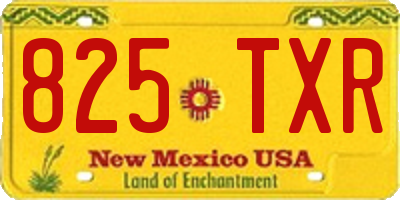 NM license plate 825TXR
