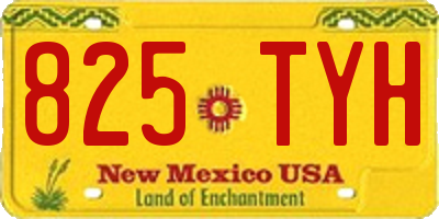 NM license plate 825TYH
