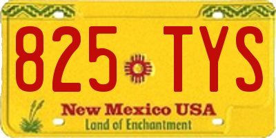 NM license plate 825TYS