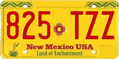 NM license plate 825TZZ