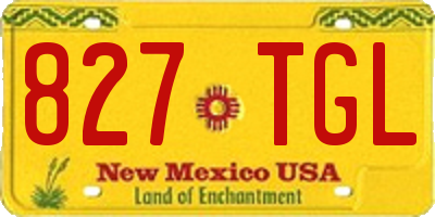 NM license plate 827TGL