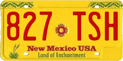 NM license plate 827TSH