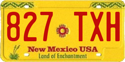 NM license plate 827TXH