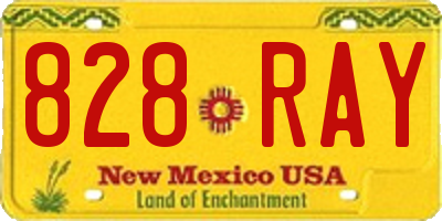 NM license plate 828RAY