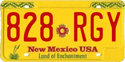 NM license plate 828RGY