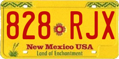 NM license plate 828RJX