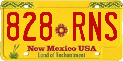 NM license plate 828RNS