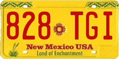 NM license plate 828TGI