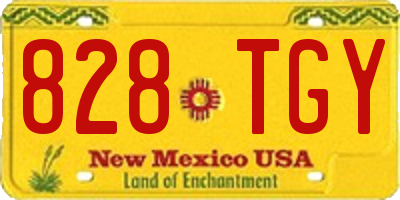 NM license plate 828TGY